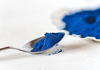 Blue Spirulina Powder vs Liquid Extract – What Indian Manufacturers Offer