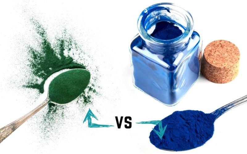 Quality Parameters Followed by Blue Spirulina Manufacturers in India