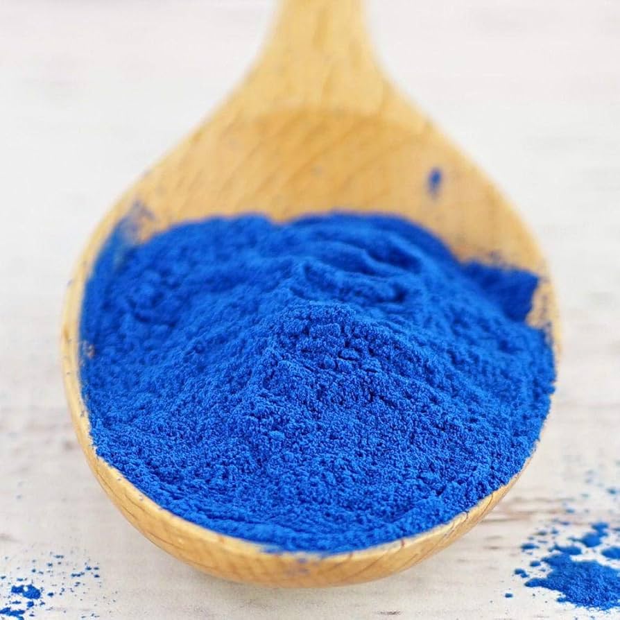 Blue Spirulina for Nutraceutical Brands – Sourcing Guide from India