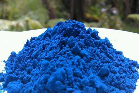 How Blue Spirulina Manufacturers in India Handle Recall & Quality Deviations