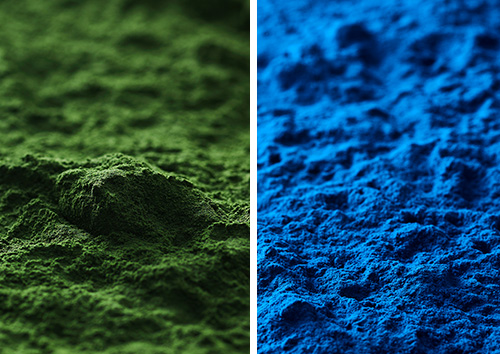 End-User Industries Fueling Growth of Blue Spirulina Manufacturers in India