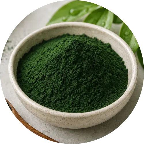 Spirulina Powder