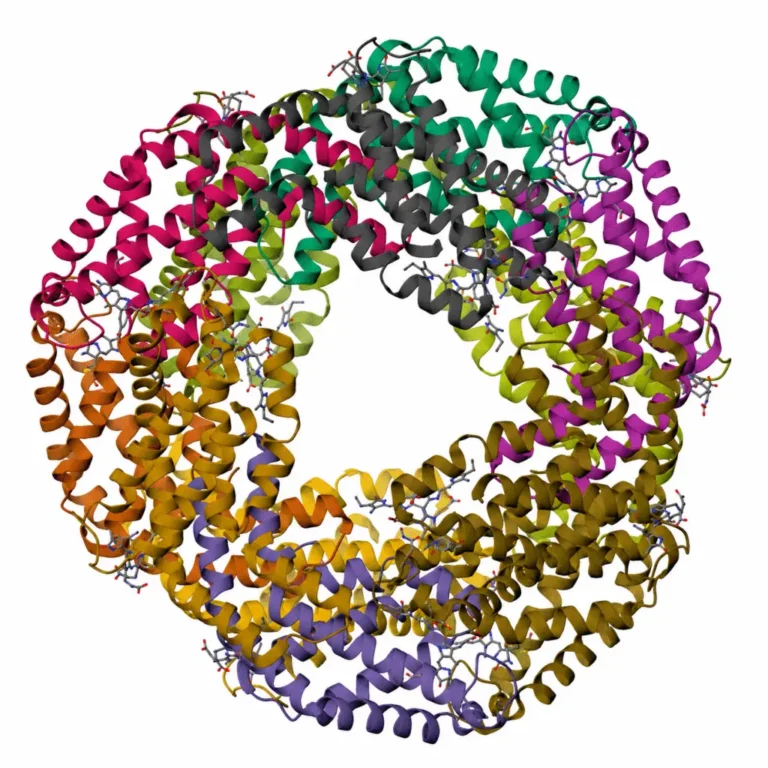 structure of C-phycocyanin